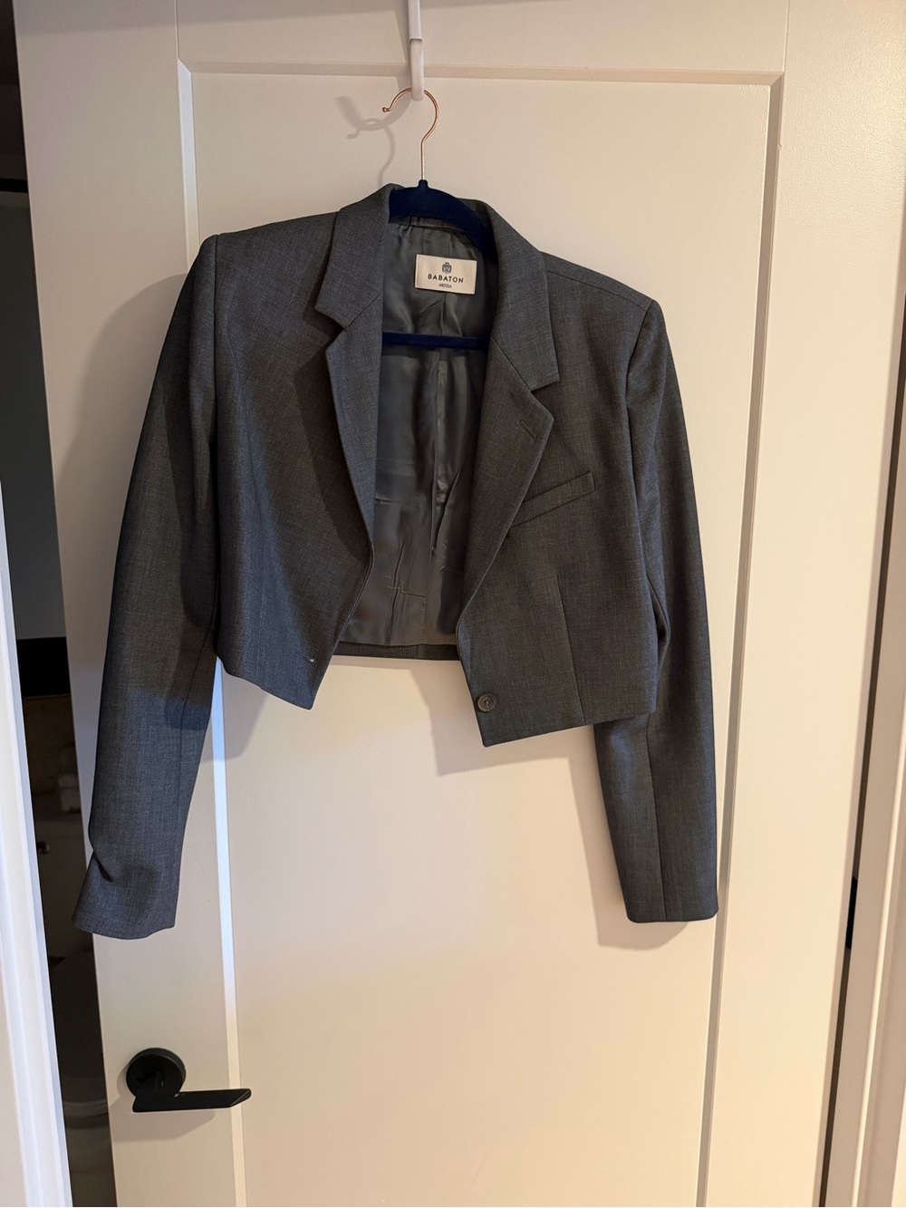 Babaton Charcoal Cropped Arbus Blazer